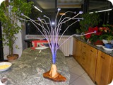 DSCN1238